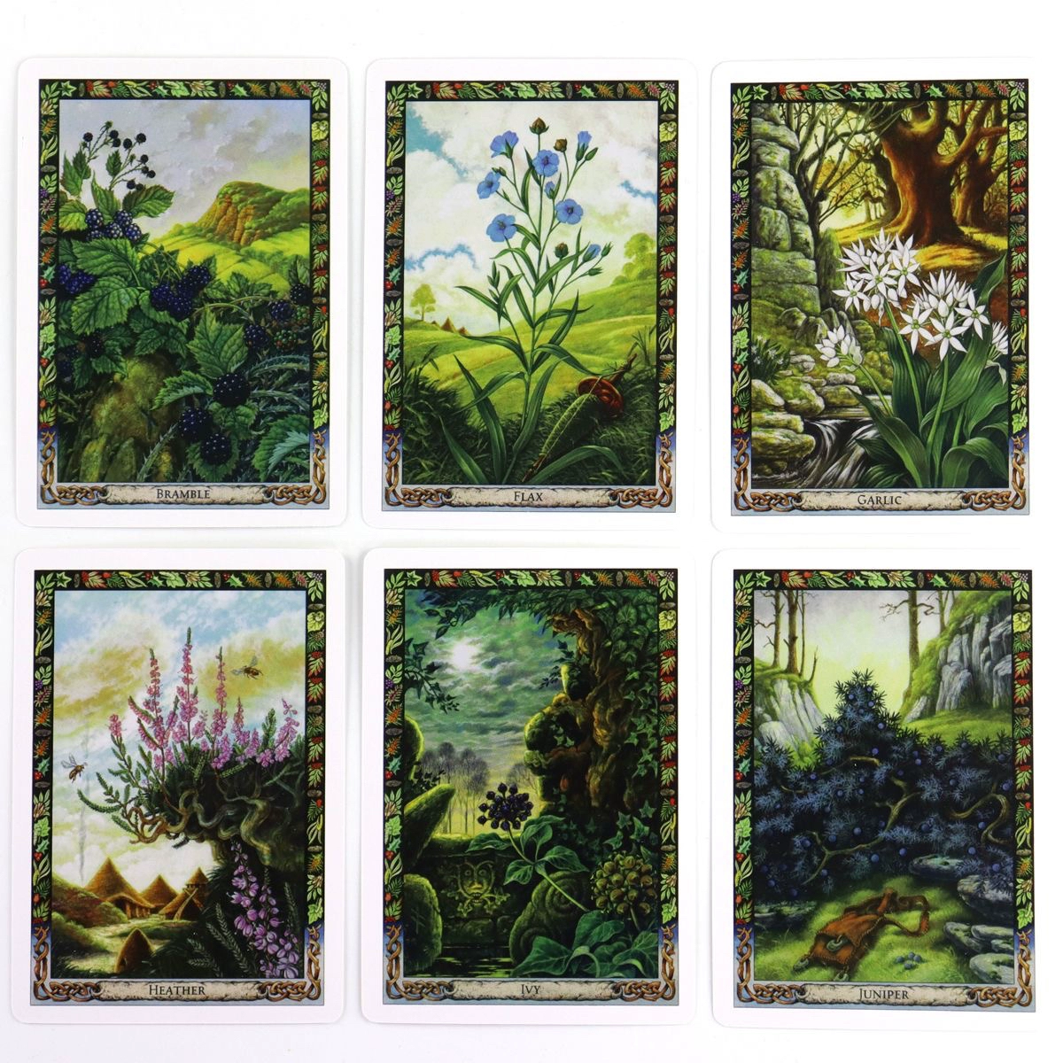 Druid Plant Oracle – Nature’s Guidance – 6 Druid Plant Oracle – Nature's Guidance - 6