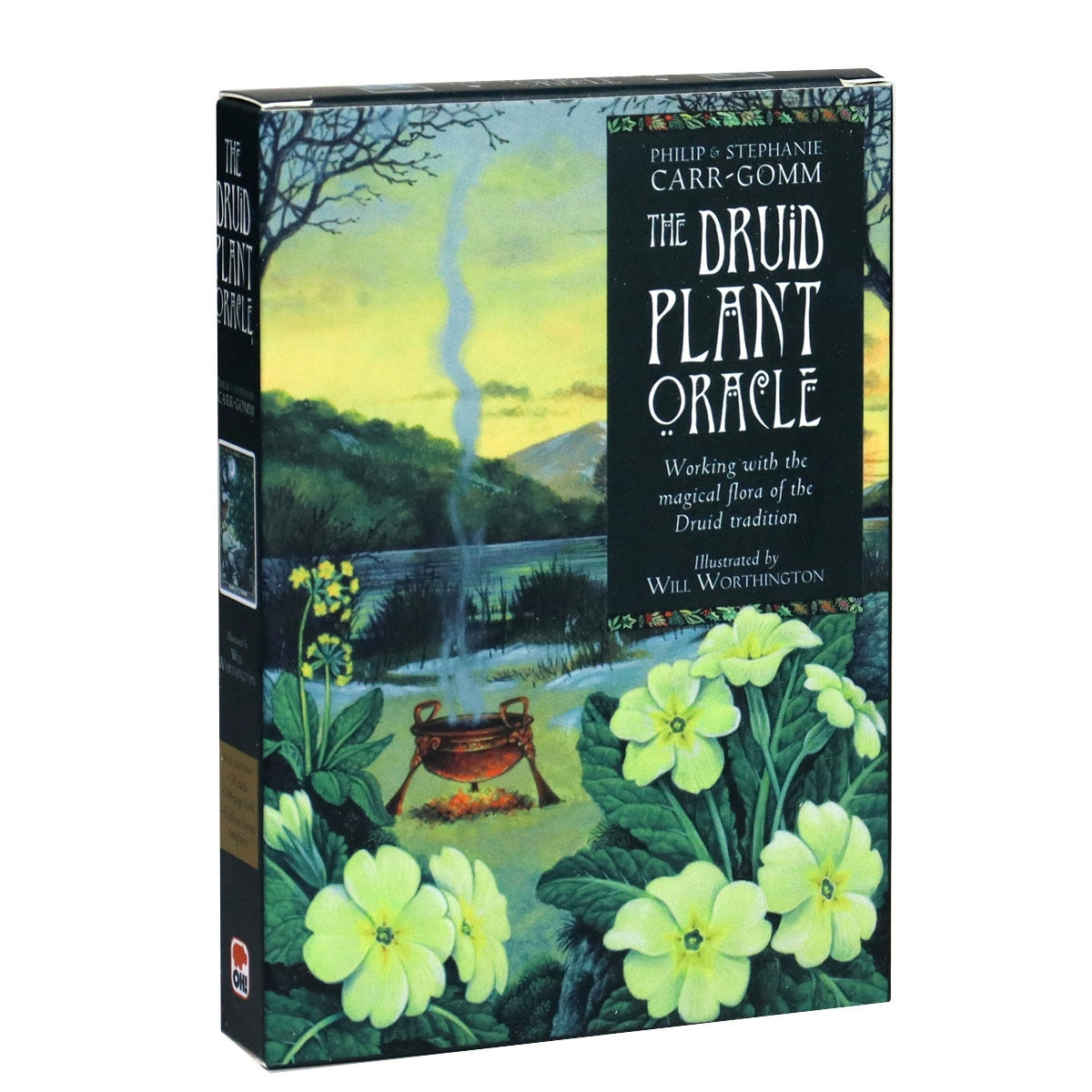 Druid Plant Oracle – Nature’s Guidance – 1 Druid Plant Oracle – Nature's Guidance - 1