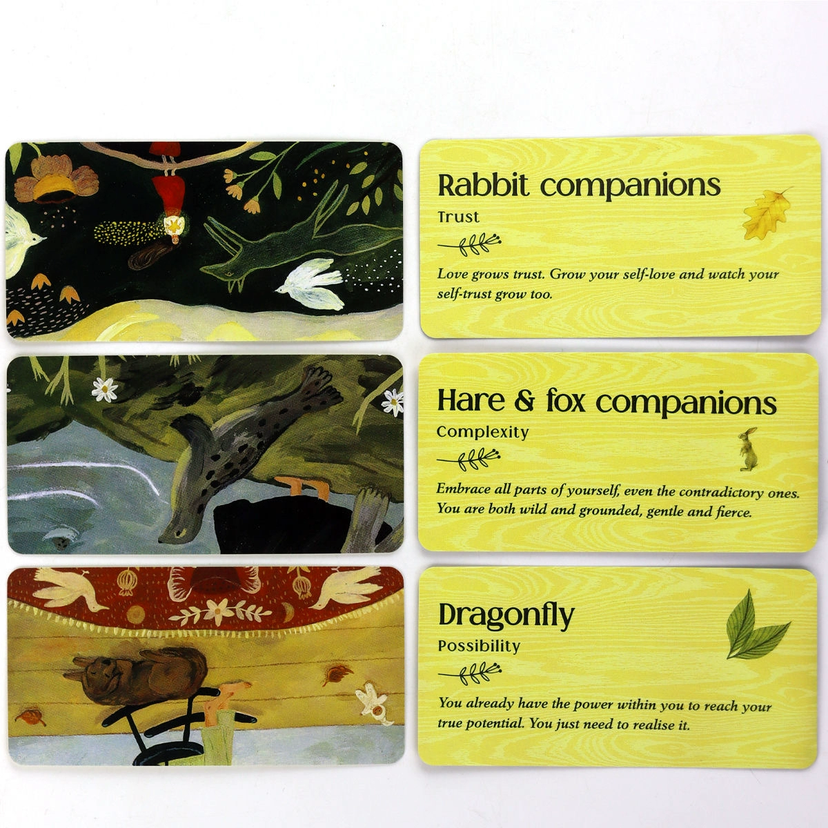 Forest Animal Oracle – Gentle Nature Guidance - 2