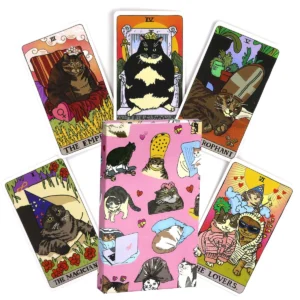 Cat Meme Tarot – Funny Major Arcana