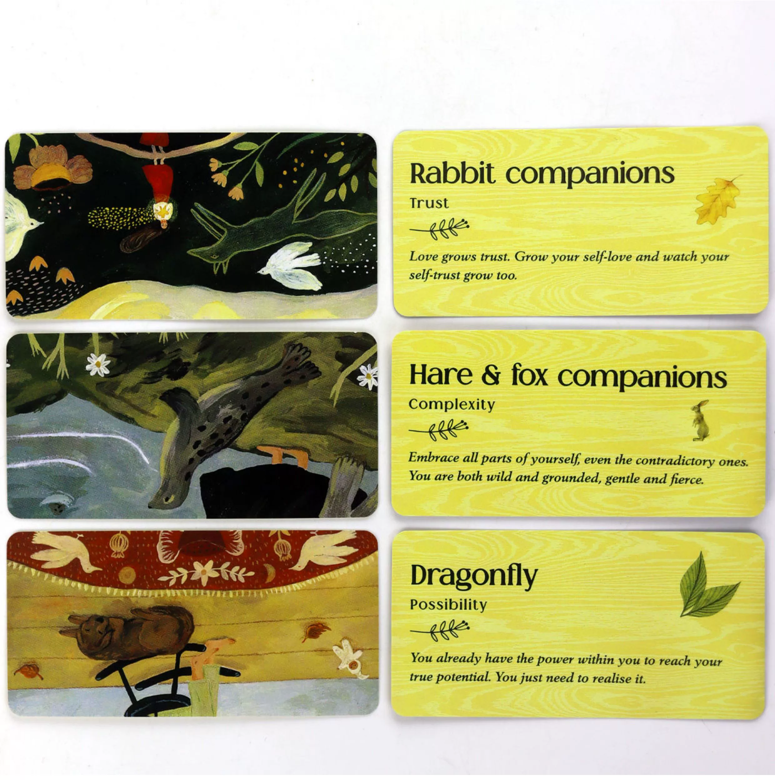 Forest Animal Oracle – Gentle Nature Guidance - 8
