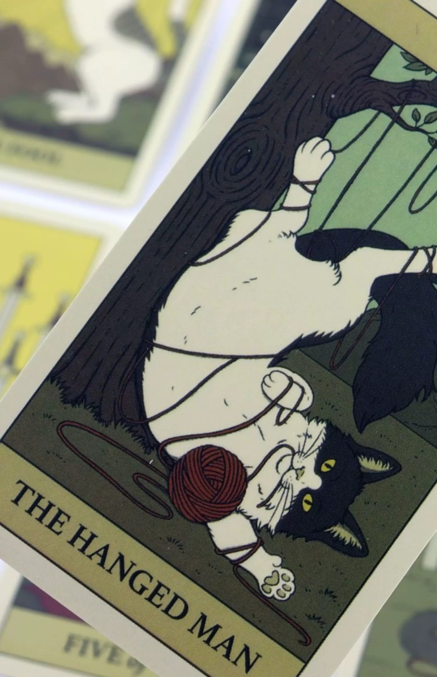 Mystical Cats Tarot – Charming Feline Wisdom – 11 Mystical Cats Tarot – Charming Feline Wisdom - 11