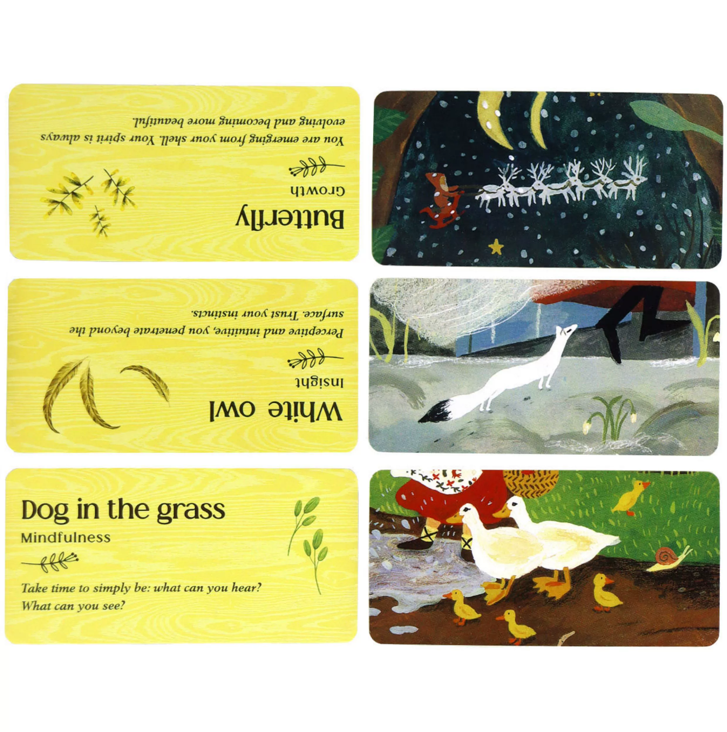 Forest Animal Oracle – Gentle Nature Guidance - 7