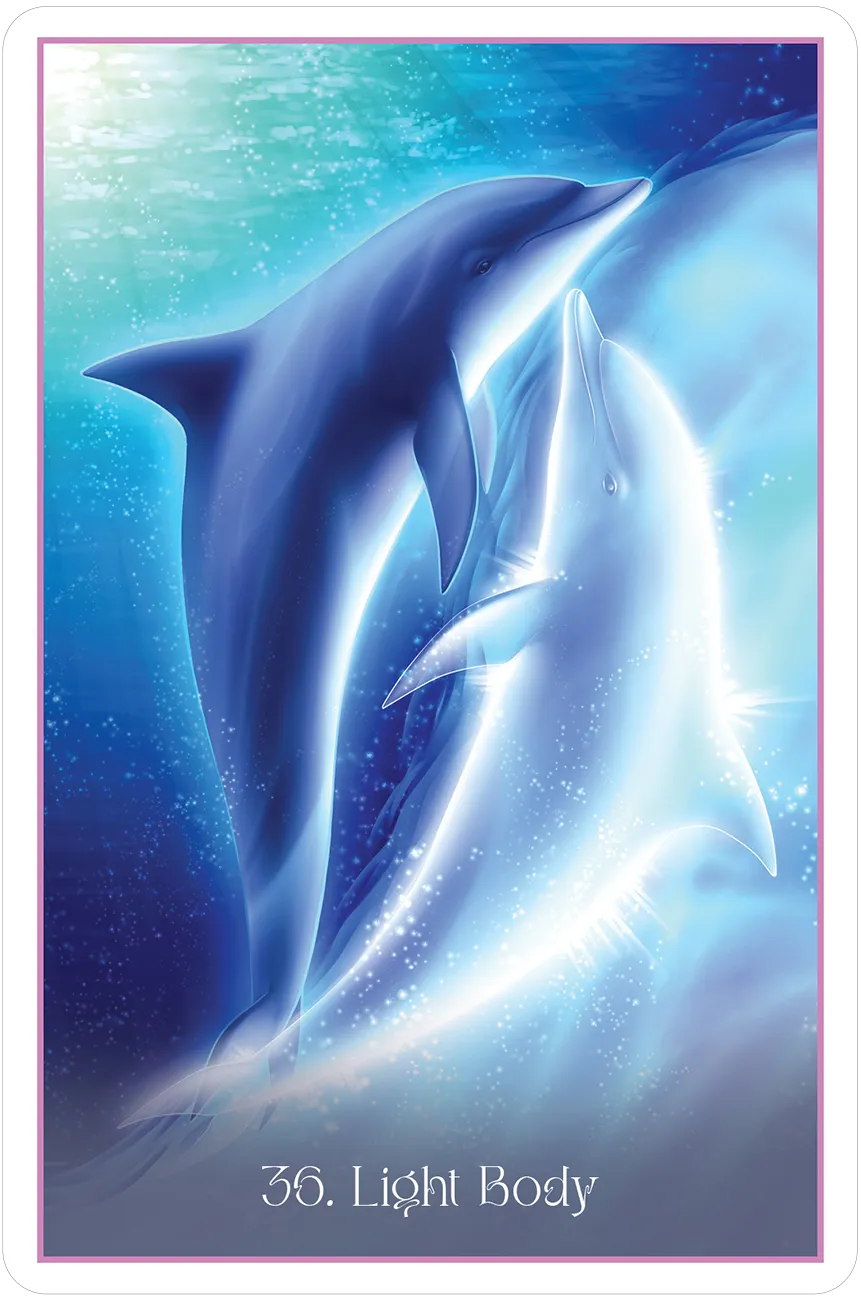 Dolphin Oracle: 44 Divine Connection Cards – 1 Dolphin Oracle: 44 Divine Connection Cards - 1
