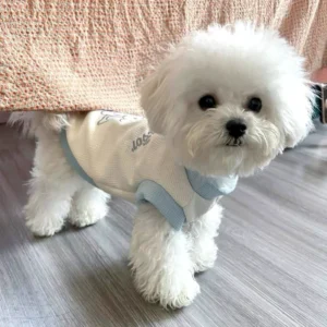 Adorable Summer Dog Vest: Cool, Breathable, Shed-Free Comfort!
