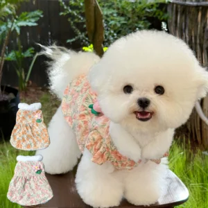 Charming Dog Dress: Fall Princess Style for Small Pups