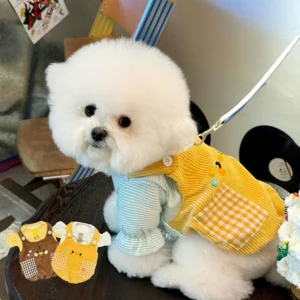 Dog Hoodie – Stylish Spring/Summer Comfort