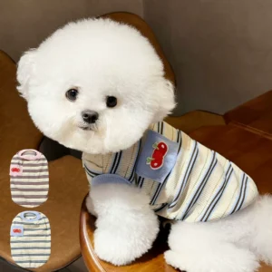 Small Dog Vest – Cozy Autumn Stripes
