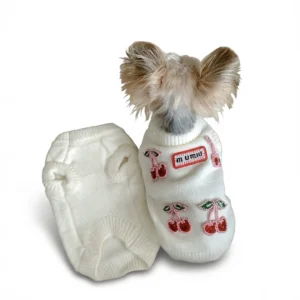 Dog Knit Sweater – Cozy Autumn Comfort