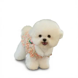 Charming Dog Dress: Fall Princess Style for Small Pups white background