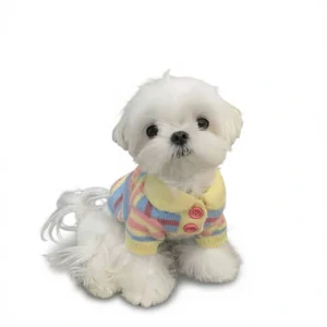 Cozy Dog Sweater: Adorable Autumn/Winter Knit for Small Pets! white background